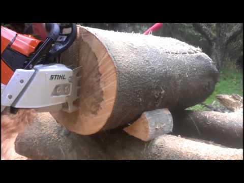 Stihl MS661 CM (stock) vs ported Husqvarna 390XPG noodling beech