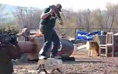 Stihl 2008 Speed