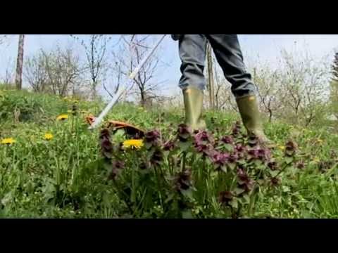Domaćin I – STIHL FS 120 i SR 200 – održavanje imanja