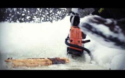 STIHL Chainsaw In Action