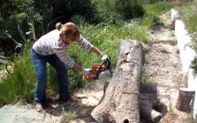 Zhenya Stihl MS250 Big Cut.MOV