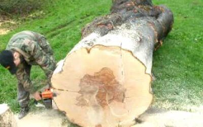 Stihl 051