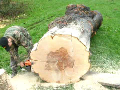 Stihl 051