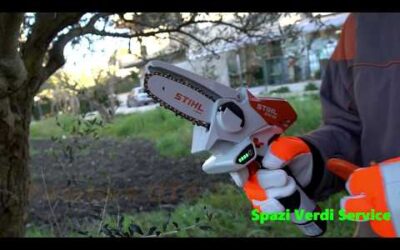Blog 2 Potatore a batteria Stihl GTA 26