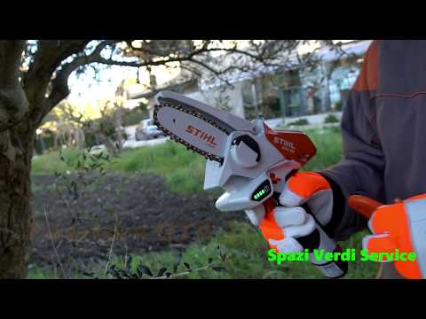 Potatore a batteria Stihl GTA 26