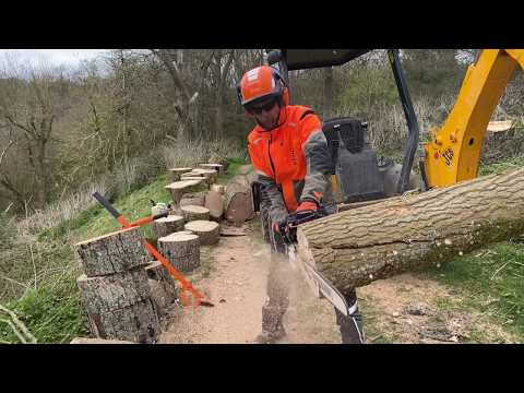 STIHL MS 500i RIPPIN THROUGH SOME ASH