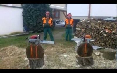 Stihl Contra 050 vs Stihl MS 261 W