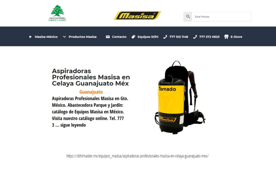 Aspiradoras Profesionales Masisa en Celaya Guanajuato Méx
