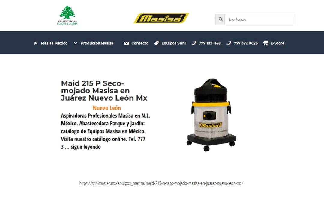 Maid 215 P Seco-mojado Masisa en Juárez Nuevo León Mx