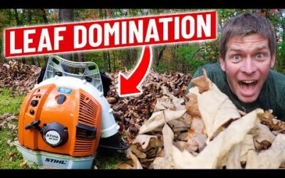 Blowing Leaves with Stihl BR600 Backpack Blower