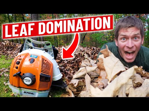 Blowing Leaves with Stihl BR600 Backpack Blower