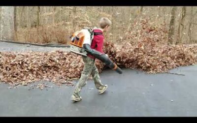 Blowing leaves with Stihl br800 & echo pb8010