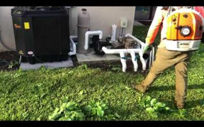 COMO USAR UN SOPLADOR DE HOJAS STIHL BR600