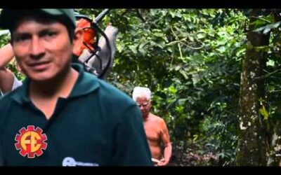 Demostración Stihl en AGROARRIBA