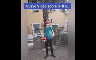 Enseñando. Las sopladoras de gasolina Stihl, y de batería.