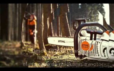 Experiencia STIHL