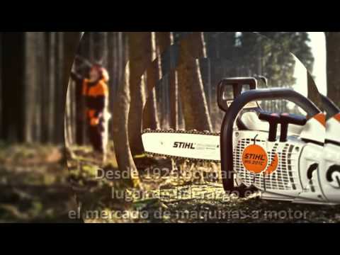 Experiencia STIHL