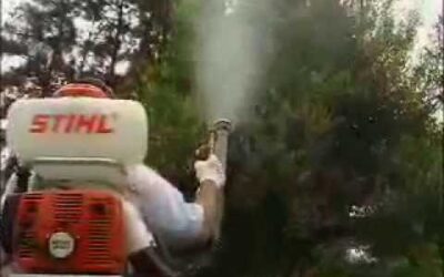 Fumigadora STIHL SR 420