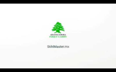Motosierras Stihl en Cuernavaca Morelos – Abastecedora Parque y Jardín