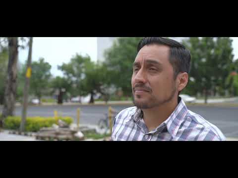 STIHL-Entrega técnica
