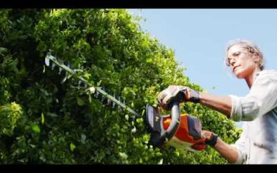 STIHL HSA 56 short video