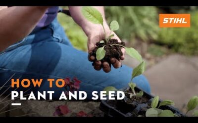Sowing & planting with Jane Moore (STIHL garden tips)