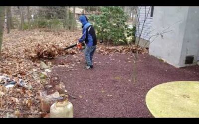 Stihl BG 56C in Action