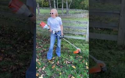 Stihl Electric Trimmer