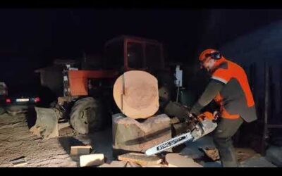 Stihl MS 660 vs. 660. Night race. Éjszakai futam.