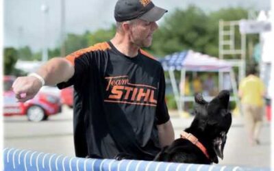 Team STIHL – Celebrating 16 years of Dock Jumping